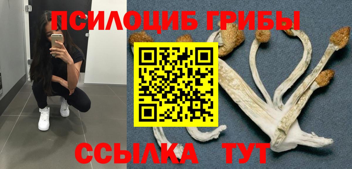 Галлюциногенные грибы Psilocybe Железноводск