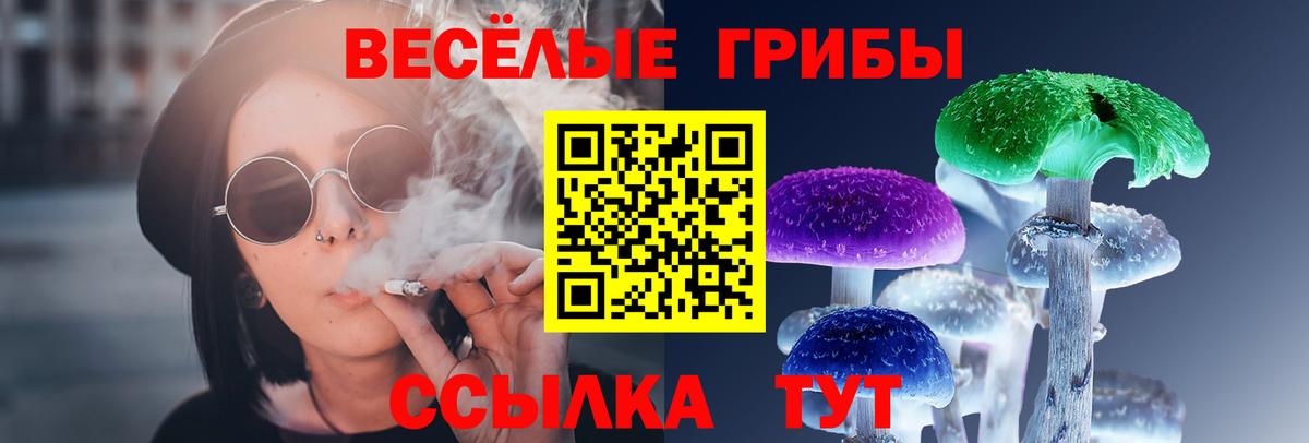 Псилоцибиновые грибы Cubensis  Вход с VPN  Железноводск 